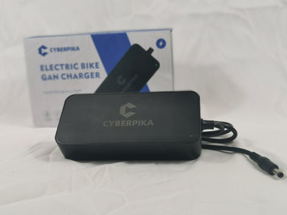 Advanced GaN Ebike Charger